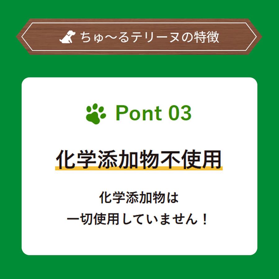 【(15g×4本)×24袋】いなば ちゅ〜るテリーヌ マンゴー&ささみ (犬・ドッグ) | いなばペットフード | 05