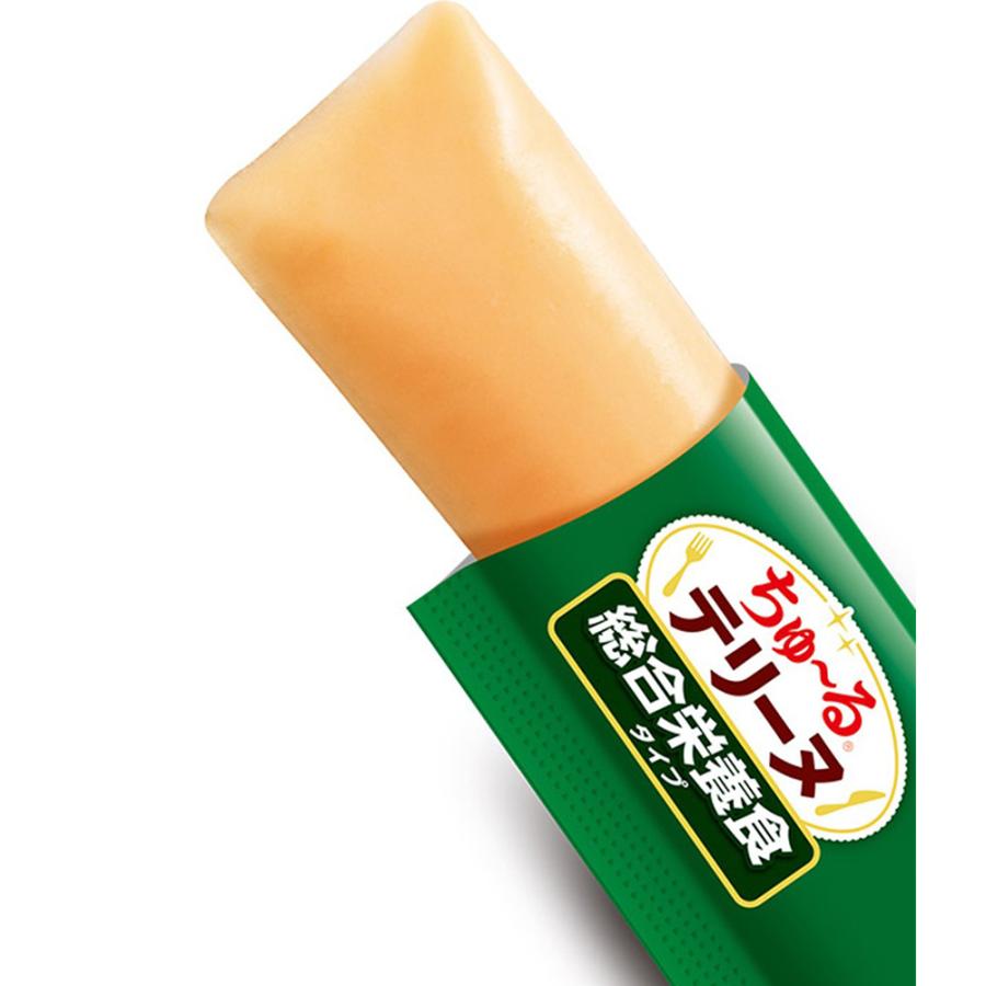 【メール便】【(15g×4本)×6袋】いなば ちゅ〜るテリーヌ 総合栄養食タイプ とりささみ (犬・ドッグ) | いなばペットフード | 01