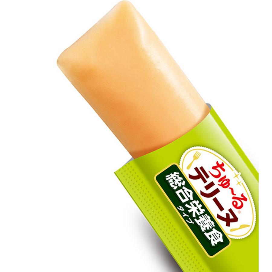 【(15g×4本)×12袋】いなば ちゅ〜るテリーヌ 総合栄養食タイプ ささみ&緑黄色野菜 (犬・ドッグ) | いなばペットフード | 01