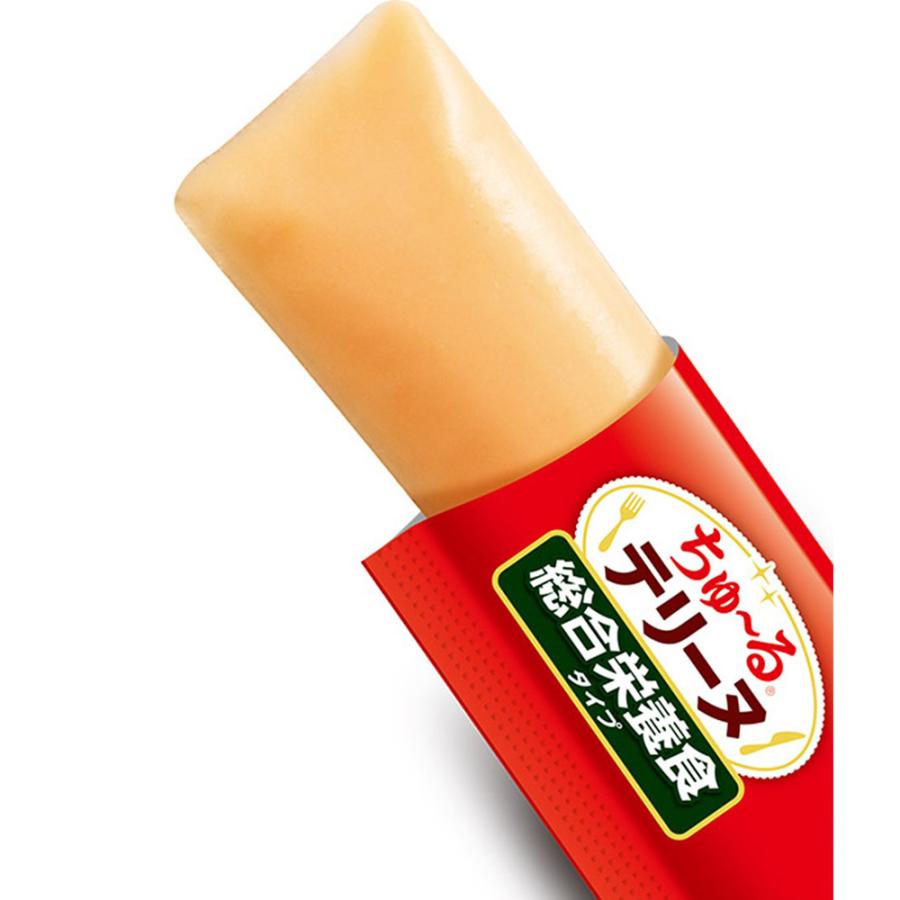 【(15g×4本)×24袋】いなば ちゅ〜るテリーヌ 総合栄養食タイプ まぐろ (犬・ドッグ) | いなばペットフード | 01