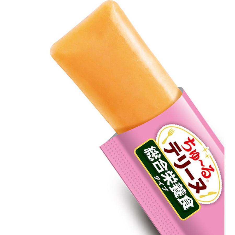 【(15g×4本)×12袋】いなば ちゅ〜るテリーヌ 総合栄養食タイプ ビーフ (犬・ドッグ) | いなばペットフード | 01
