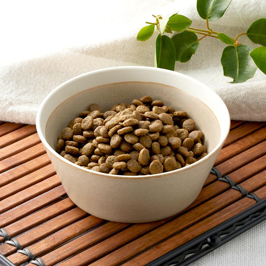 ソルビダ SOLVIDA グレインフリー チキン 室内飼育 子犬用 12kg (犬