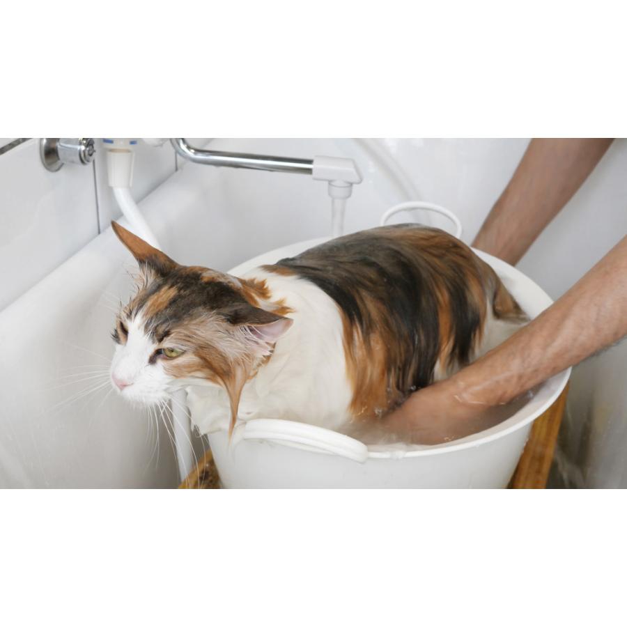 ayaka様ヘ専用犬と猫のイラスト バス用品 61-S6rPV6aL.jpg_BO30,255,255,
