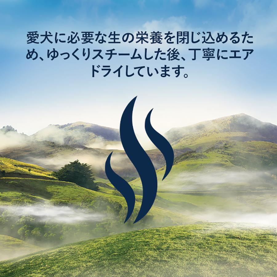 ZIWI（ジウィ） ジウィピーク スチーム＆ドライ ケージフリーチキン