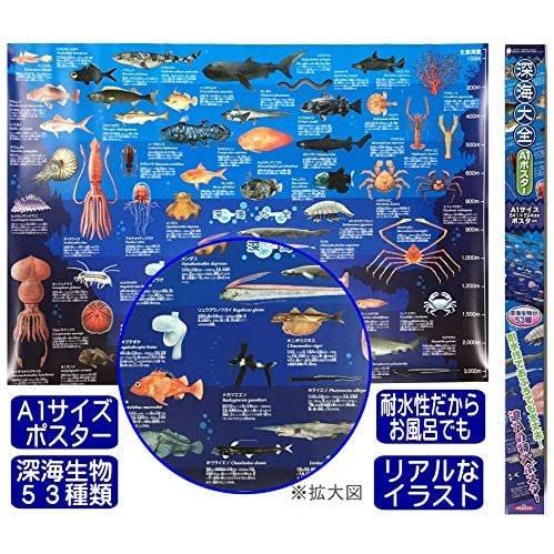 深海生物 ポスター 特大サイズ 深海大全 お風呂ポスター 図鑑 ａ1 サイズ 841 584mm Ki 090 B Pen01 Vja24v4fc ペンアンドペン 通販 Yahoo ショッピング