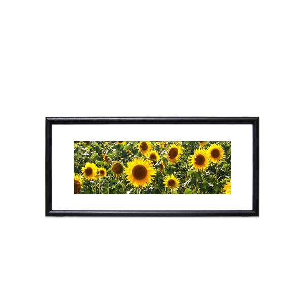 アートパネル 横長 ひまわり 風景 おしゃれ 壁掛け 花 インテリア 絵画 ポスター フレーム付き