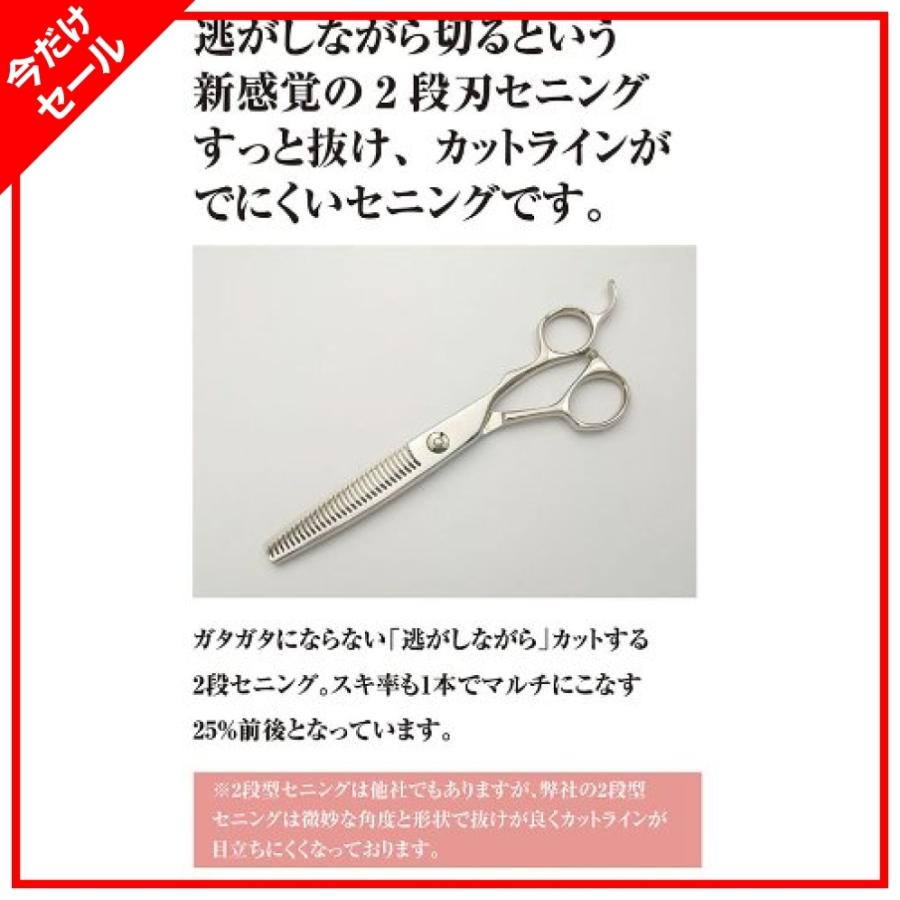 無料長期保証 Pf Deeds 日本の鋏専門メーカー Guz シザー セニング 専用ケース セット 6 0インチ 美容師 ヘアカット プロ用 50 Off Prcs Org Pk