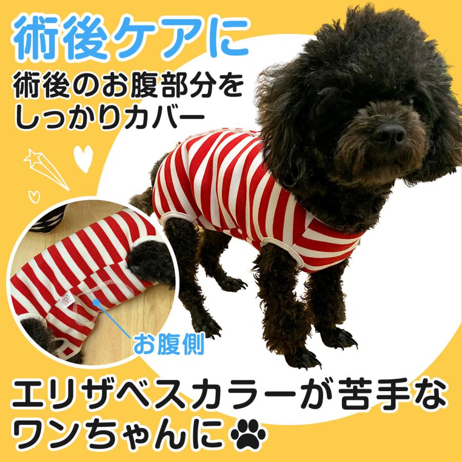 術後服 犬用 エリザベスカラー 猫用 手術後 術後着 ペット用 小型犬