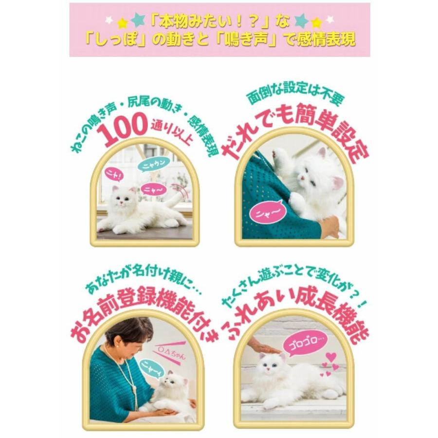 27-1日はクーポンで最大￥500OFF】デジレクト しっぽふりふり あまえん