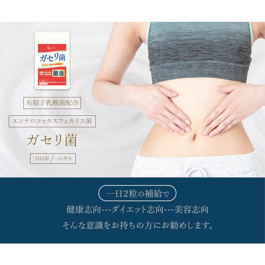 【日曜限定 300円OFFクーポン】ガセリ菌 60粒 約1ヶ月分 (一袋あたり ガセリ菌750億個) 乳酸菌 サプリメント 乳酸菌サプリ｜penguindou｜02