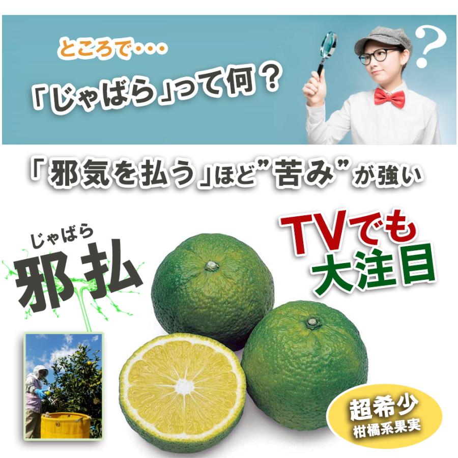 北山村産じゃばら 発酵黒じゃばら サプリメント 60粒入り 30日分