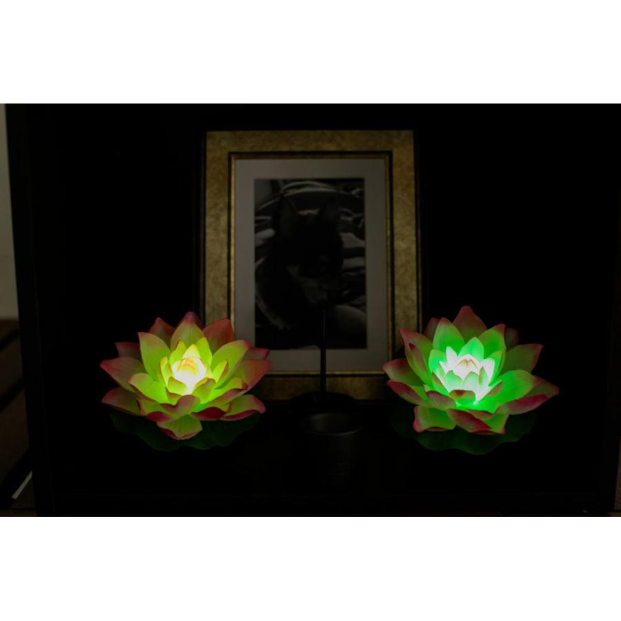 25-30限定クーポンで最大700円OFF】【6カ月保証付】ロータス?蓮花 はす