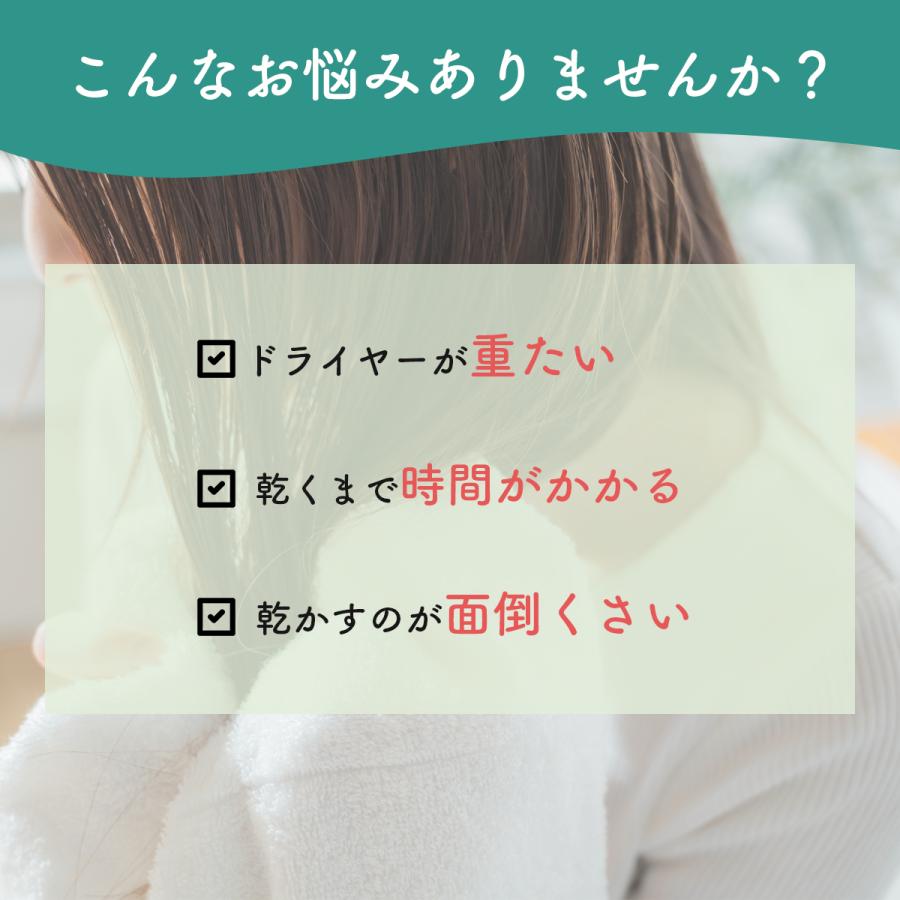 27日限定クーポンで¥300OFF】大風量 速乾 ドライヤー Shinju 27日限定クーポンで¥300OFF】大風量 速乾 ドライヤー Shinju
