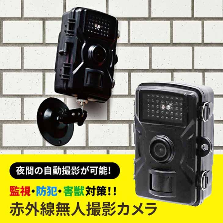 ファミラ 赤外線無人撮影カメラ テレビショッピング放送商品 SD