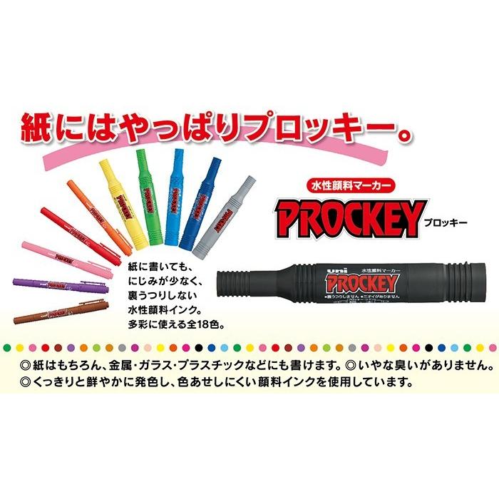 三菱鉛筆 プロッキー 水性顔料マーカー ＜極細＋細字丸芯＞ 【全15色