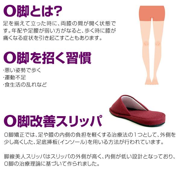 レディース O脚改善スリッパ 健康スリッパ スリッパ ヒールスリッパ ルームシューズ 室内履き 部屋履き 日本製 脚線美人 6900 6901 Fm Hicv6900 6901 ペンネペンネフリーク 通販 Yahoo ショッピング