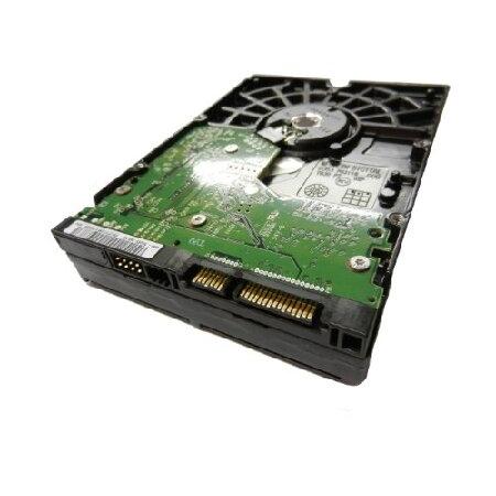 24H限定 Western Digital 250GB SATA II 7200RPM Bulk/OEM Hard Drive WD2500JS