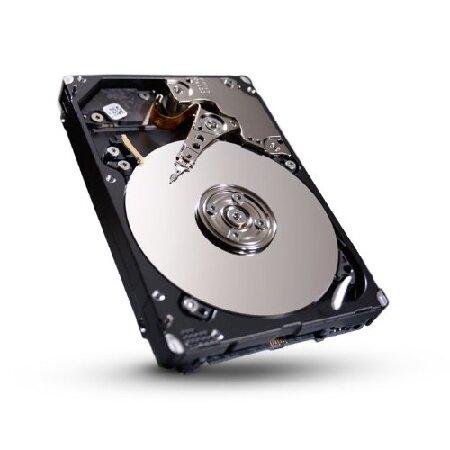 Seagate 900 GB Savvio SAS 6Gb/s 64MB Cache 2.5-Inch Internal Bare Drive (ST900MM0026)｜pennylane2022｜02