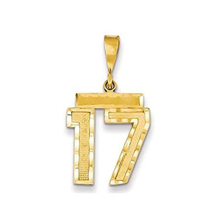 14k Yellow Gold Medium Diamond-cut Number 17 Charm