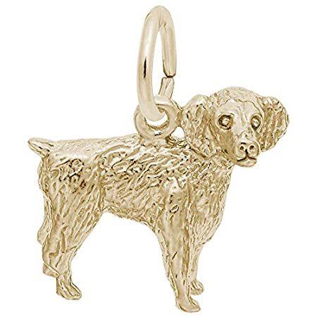 Rembrandt Charms 10K Yellow Gold Boykin Spaniel Charm Pendant 本物