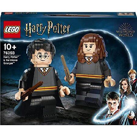 なおはるページ LEGO（レゴ） ハリーポッター ハリー・ポッター(TM) と ハーマイオニー