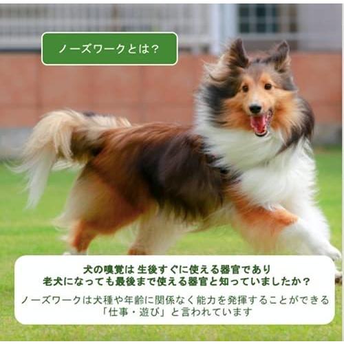 訳あり Shaka Labo ノーズワーク 犬 ペット おもちゃ しつけ 嗅覚 訓練 分離不安 運動不足 ストレス解消 集中力向上 知育玩具 ペット用品 Cisama Sc Gov Br