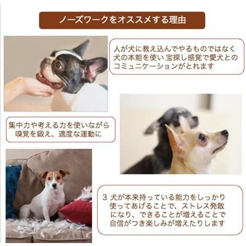 65 Off Shaka Labo ノーズワーク 犬 ペット おもちゃ しつけ 嗅覚 訓練 分離不安 運動不足 ストレス解消 集中力向上 知育玩具 ペット用品 Cisama Sc Gov Br