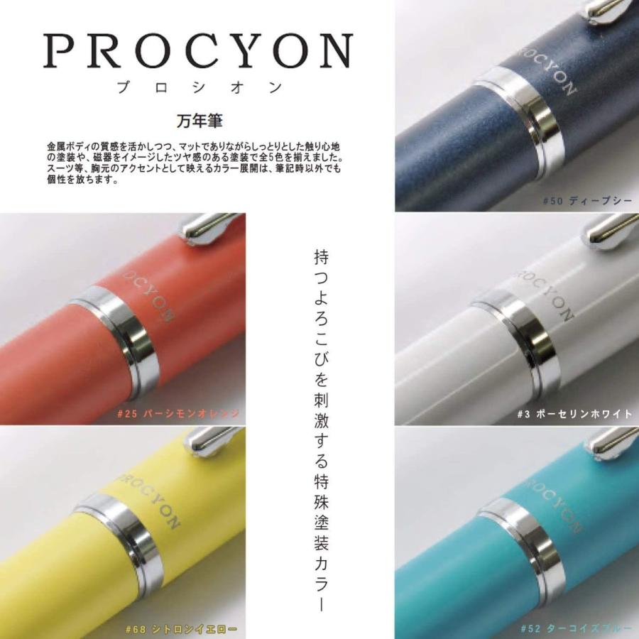 【在庫品】プラチナ万年筆 プロシオン ディープシー 中字 PNS-5000#50-3【送料無料】｜penpen-avenue｜05