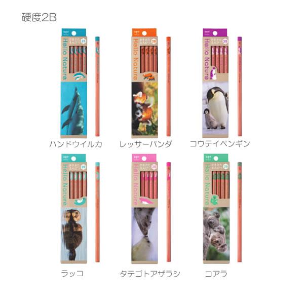 トンボ鉛筆 ハローネイチャー かきかたえんぴつ B 2B ダース鉛筆 木軸