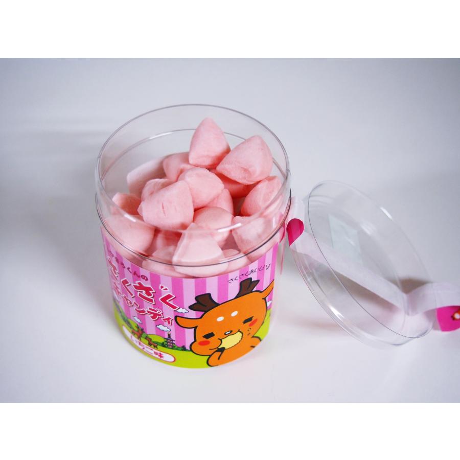 奈良 お土産 おみやげ しかまろくんのさくさくキャンディ 80g 3種