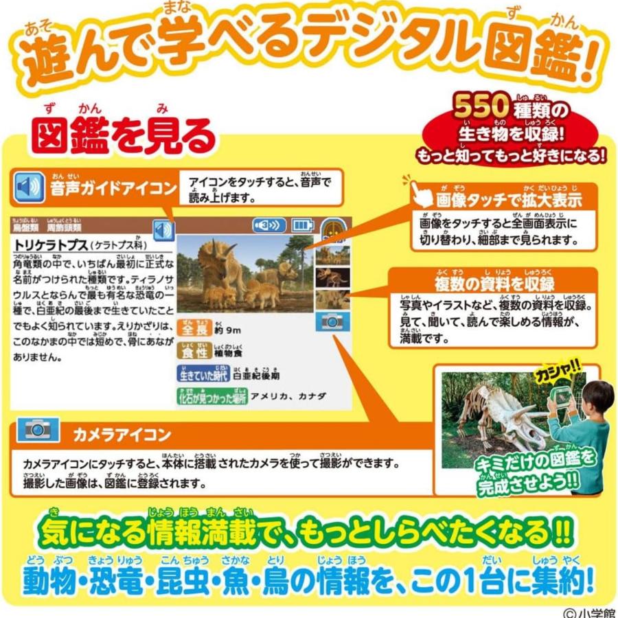 アニア 恐竜 動物 おもちゃ アニアとあそぼう! 小学館の図鑑 NEO Pad ギフト プレゼント ３才〜 知育 タブレット 玩具 ネオパッド 誕生日 学習の画像