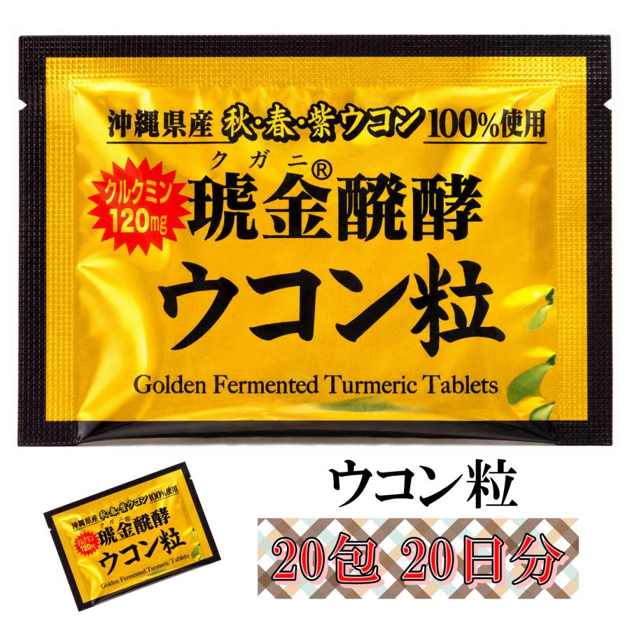 沖縄ウコン堂 ウコン 粒 クガニ 醗酵 40包40日分 沖縄 ウコン 100% 個