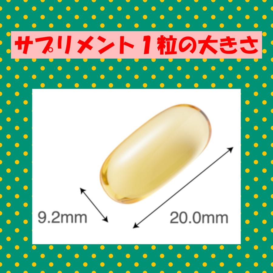 新品　ネイチャーメイド　スーパーフィッシュオイル　250粒×2個 Nature Made ネイチャーメイド スーパーフィッシュオイル EPA DHA 250
