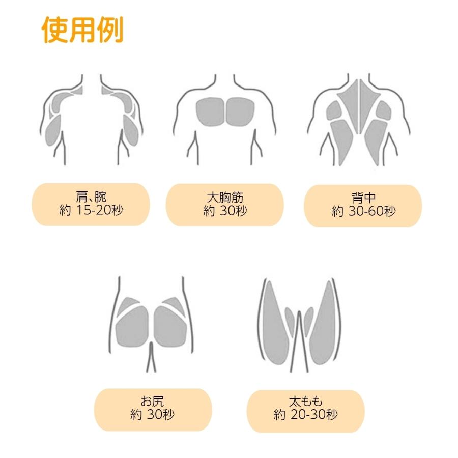 品質検査済 母の日 おしゃれ かっこいい マッサージガン シンプル Rizin 特価 充電式 人気 鈴木千裕 高性能 足 腕 筋トレ マッサージ機 筋膜リリース Wantannas Go Id