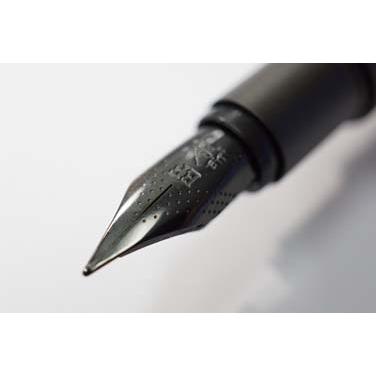 ≪在庫あり 名入れ特急便(名入れ無しなら即日発送可)≫ファーバーカステル　万年筆　ネオスリム　ガンメタル 名入れ有料 | ファーバーカステル | 02