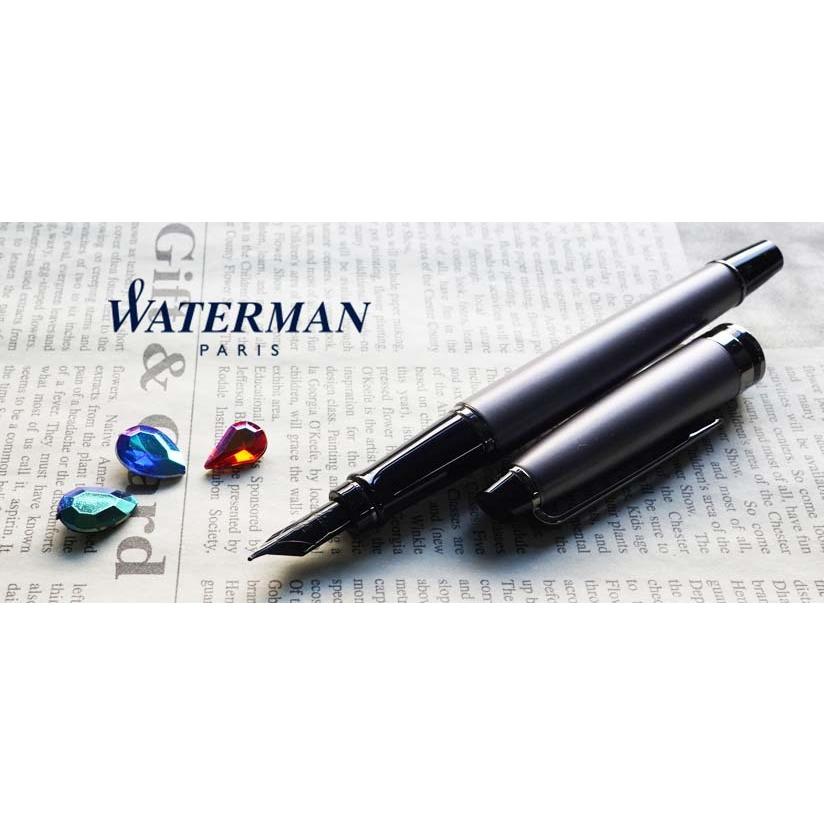 WATERMAN（ウォーターマン） 万年筆 エキスパート 2119268