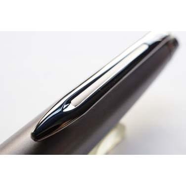 WATERMAN（ウォーターマン） 万年筆 エキスパート 2119268