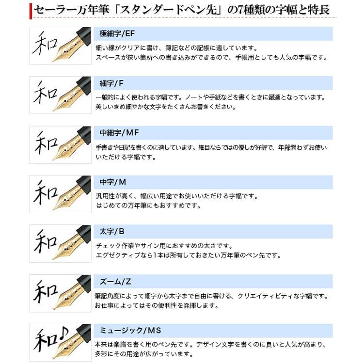 セーラー万年筆 万年筆 名入れ プロフィットスタンダード マルン 14金