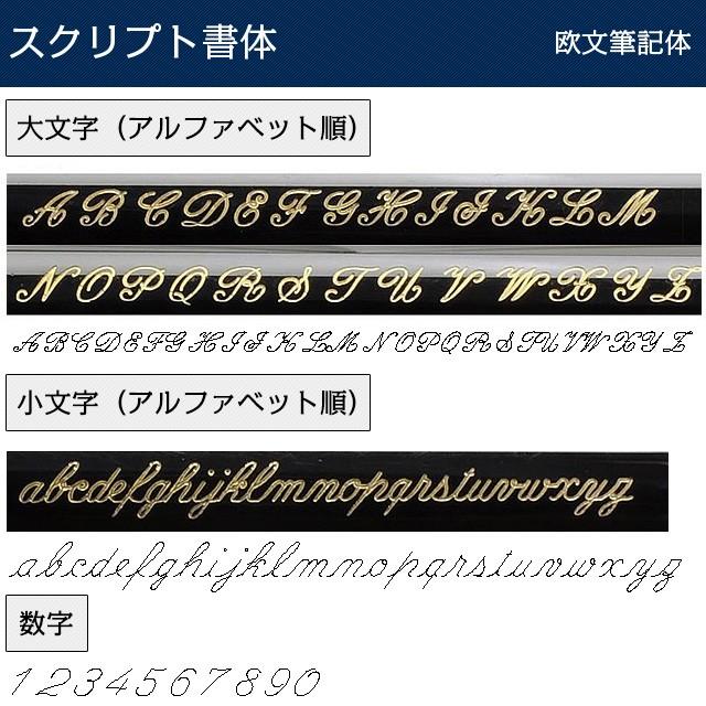 ボールペン 名入れ スワロフスキー プレゼント Crystalline クリスタルライン あすつく  可愛い母の日｜penworld｜17