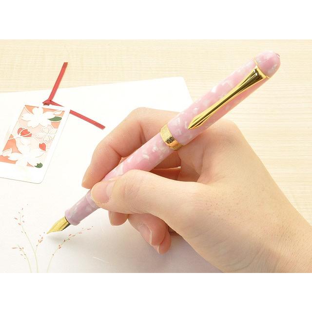 万年筆 名入れ Pent ペント 大西製作所 アセテート オーバルモデル小