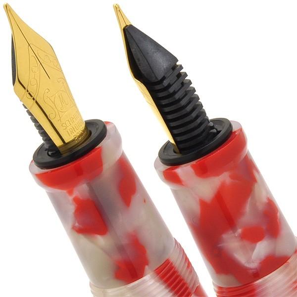 万年筆 名入れ 大西製作所 Pent ペント アセテート アークモデル 錦鯉