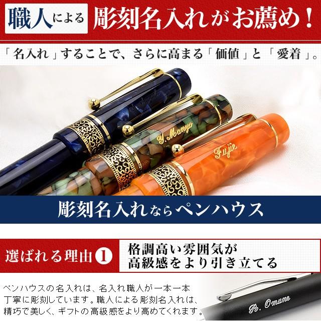 万年筆 名入れ プレゼント ギフト Pent ペント シンフォニー