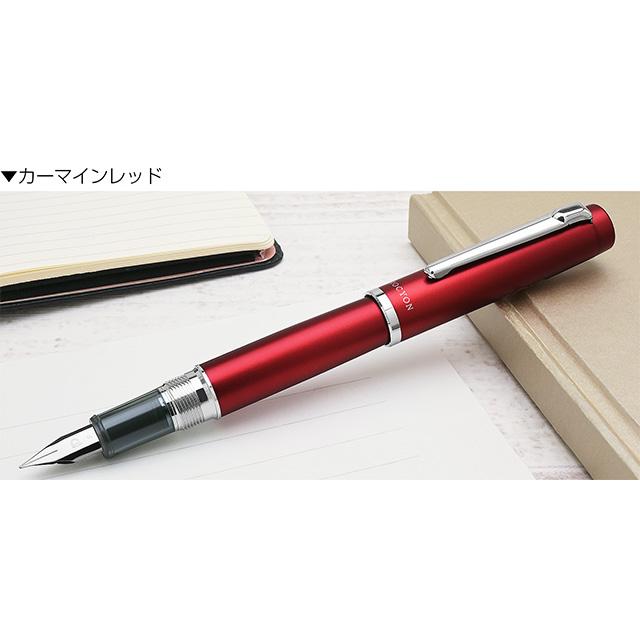 プラチナ万年筆 万年筆 名入れ プロシオン PNS-5000- PLATINUM ギフト