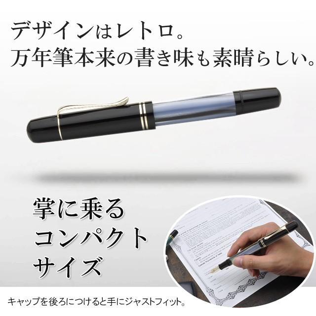 万年筆 ペリカン PELIKAN 特別生産品 （ 限定品 ） M101N グレー