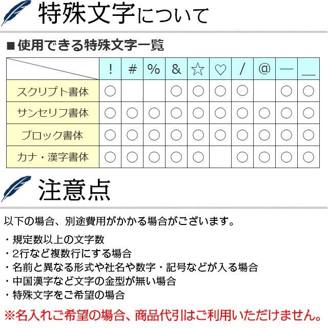 万年筆セット セーラー SAILOR 透明感 プロフィットジュニア コンバーター付き インク付き 父の日｜penworld｜14