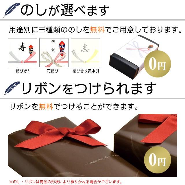 ガラスペン 日本製 ハリオサイエンス 毎日使いたいガラスペン GROOM GP-G あすつく プレゼント ギフト 父の日｜penworld｜07