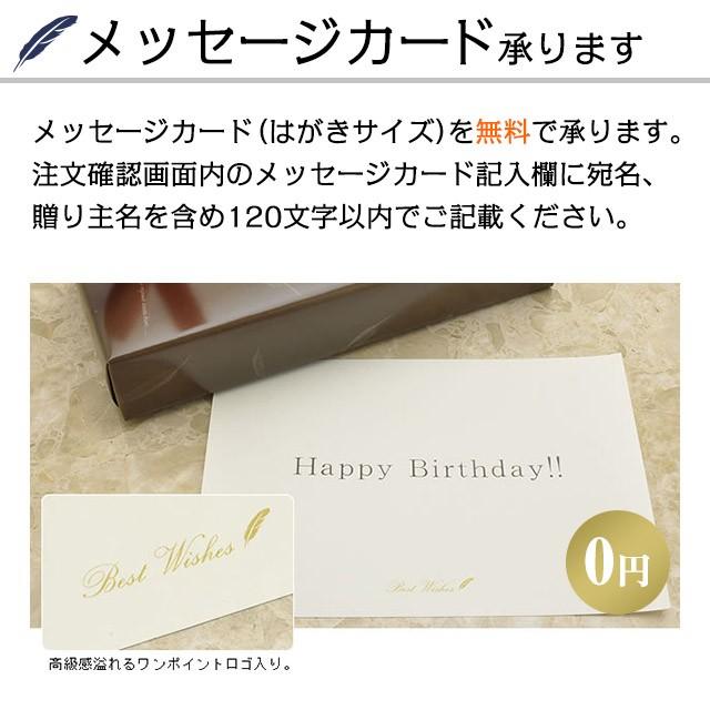 ガラスペン 日本製 ハリオサイエンス 毎日使いたいガラスペン GROOM GP-G あすつく プレゼント ギフト 父の日｜penworld｜09