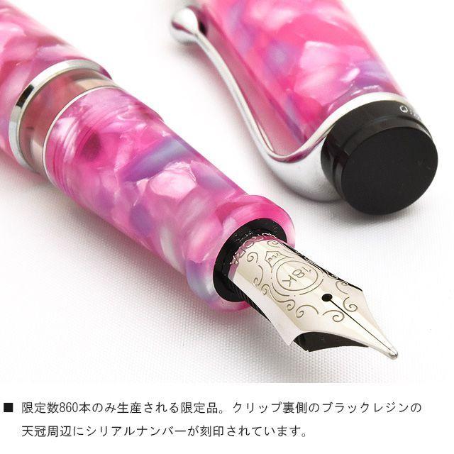 アウロラ（AURORA） 万年筆 限定品 カレイドスコーピオ・ルーチェ