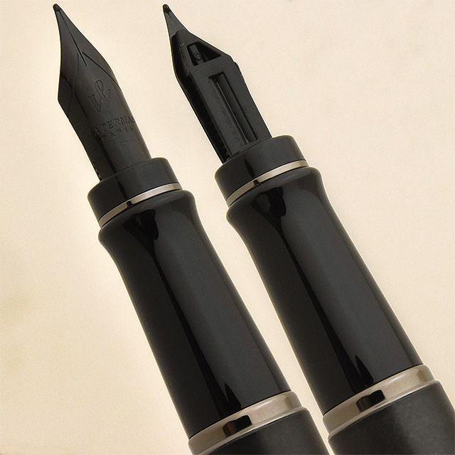 WATERMAN（ウォーターマン） 万年筆 エキスパート 21192 細字 ギフト