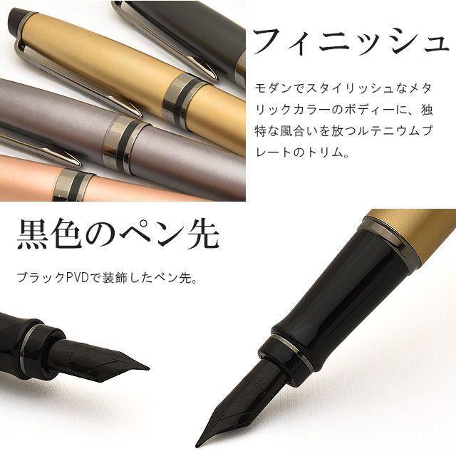 WATERMAN（ウォーターマン） 万年筆 エキスパート 21192 細字 ギフト